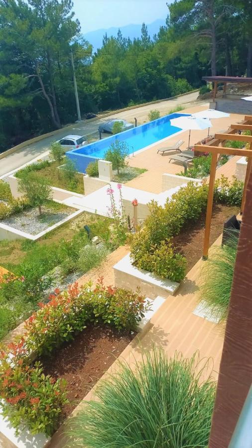 Cozy Apartments With Pool And Splendid Seaview Kavač 外观 照片